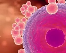 在新加坡的女性將得到更多自由?《女性發展白皮書》面世