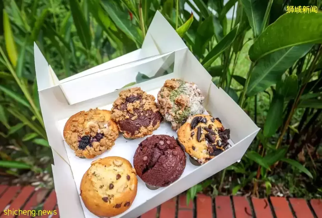 從新加坡市區至鄰裏,騎一趟時空交疊之旅