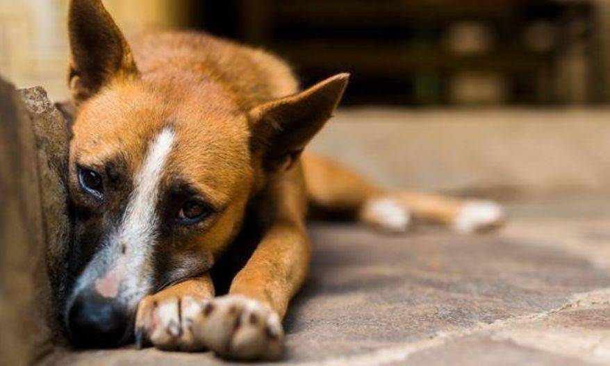 2021新加坡報稅季，十個必看的減稅方法！居家辦公也能扣