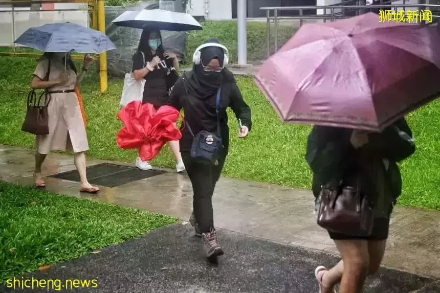 由两种天气现象引发，新加坡未来将有更多阴雨天