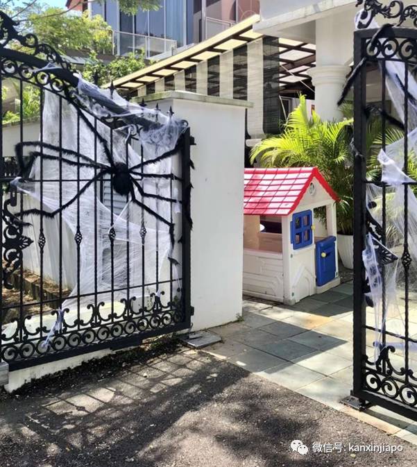 新加坡這條街,前晚出現大量蜘蛛和骷顱頭