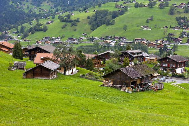 瑞士与新加坡，谁的综合实力更强大 