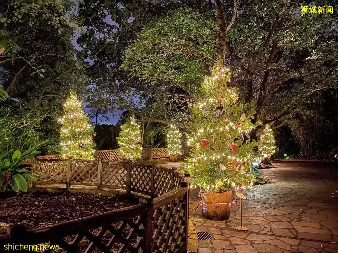 昨天,新加坡總理接班人“上位”了!祖籍中國海南的他,升職速度令人驚歎