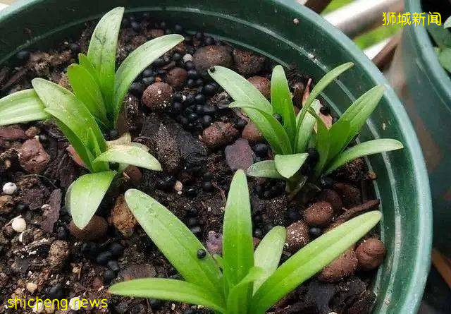 在家光膀子都有可能被罰款，還能不能好好過夏天了