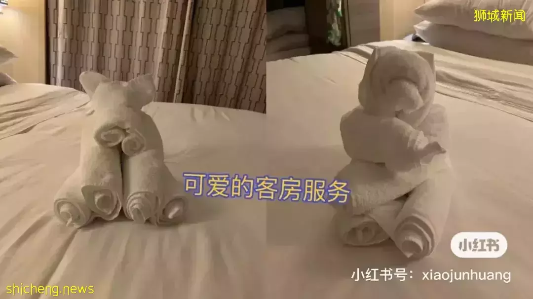 羡慕!一家四口5天4夜坐豪华邮轮免费,攀岩、冲浪、蹦极、跳伞,数不尽的美食和表演