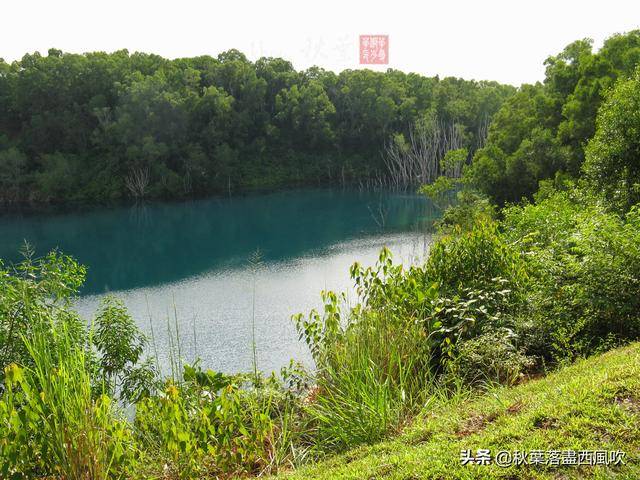 下月起，可以飞去新加坡旅游了。这些冷门免费地方值得一去