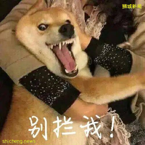 新加坡童年女神隐婚10年，41岁嫁富豪老公，50岁美成了天仙