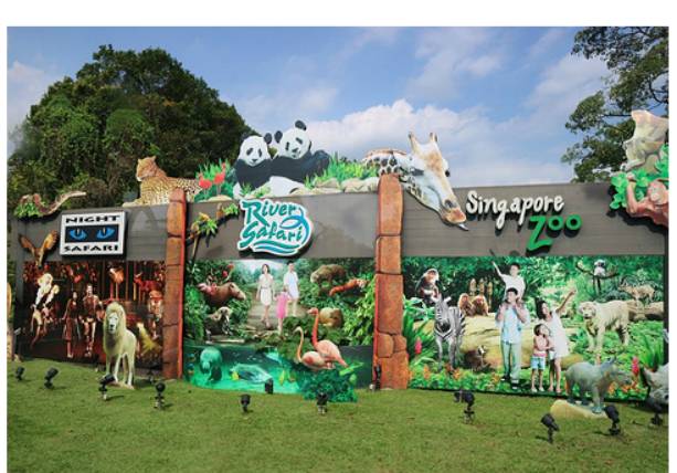 新加坡疲软的旅游业是否还能梅开二度？需要紧急出国旅行能否先打疫苗