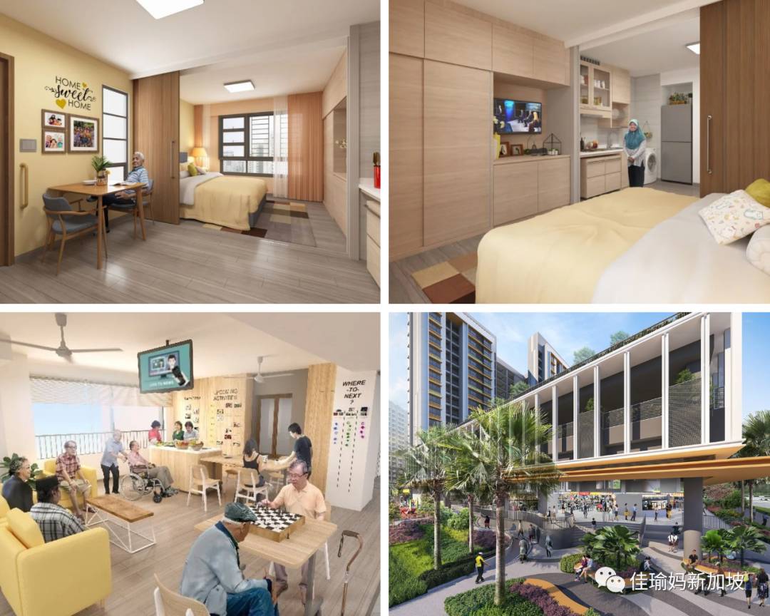 70岁还要去食阁端盘子?深扒新移民在新加坡如何养老