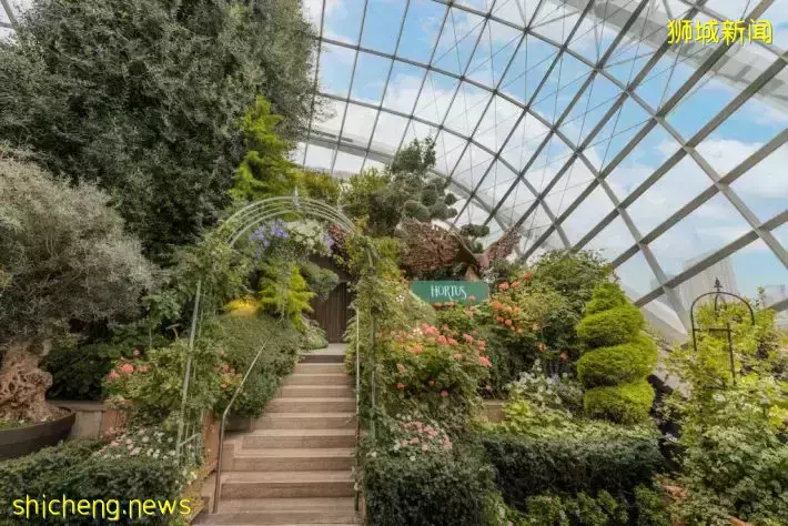 在Gardens by the bay享受节日下午茶!还可以免费进入Flower Dome哦