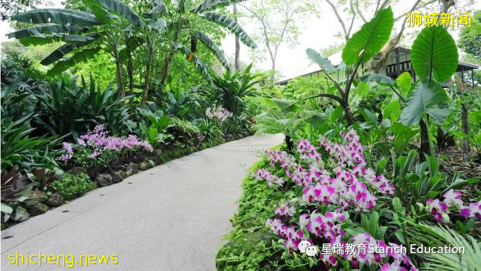 新加坡10件鮮爲人知的“十 件 套”!