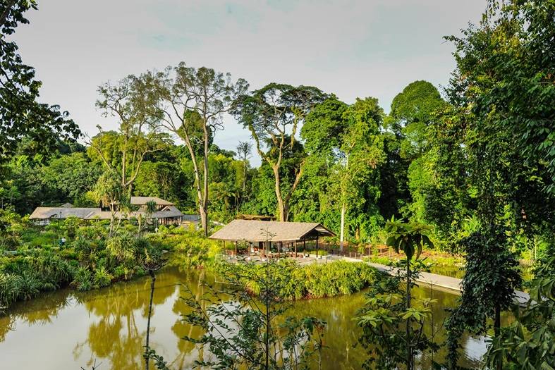 亲近大自然，好玩又免费！盘点新加坡9处沼泽红树林 · 珍稀野生鸟类 + 特有品种植物 + 漫步木质走道 · 简直就是大自然爱好者必打卡的圣地