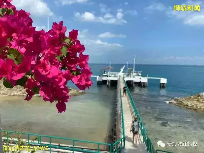 位于新加坡海域最南端的燈塔，究竟有何魅力總一票難求