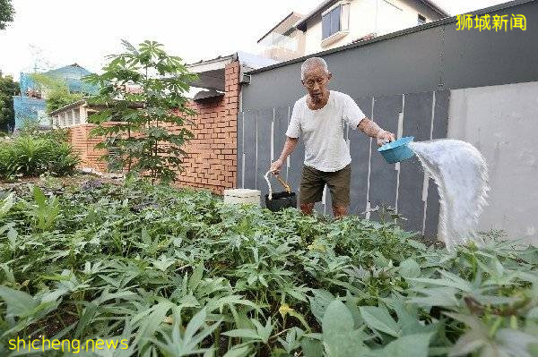 患柏金逊症阿公 坚持种菜不放弃