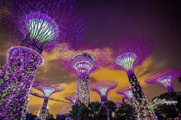 夜幕下的新加坡,有多美