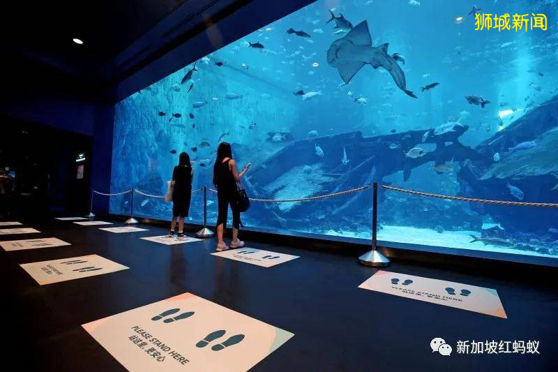 新加坡人海外旅游很“阔气”　政府：帮衬一下国内旅游嘛