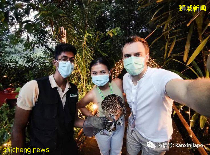 小米新加坡牵手Night Safari动物园网红大象,温情满满