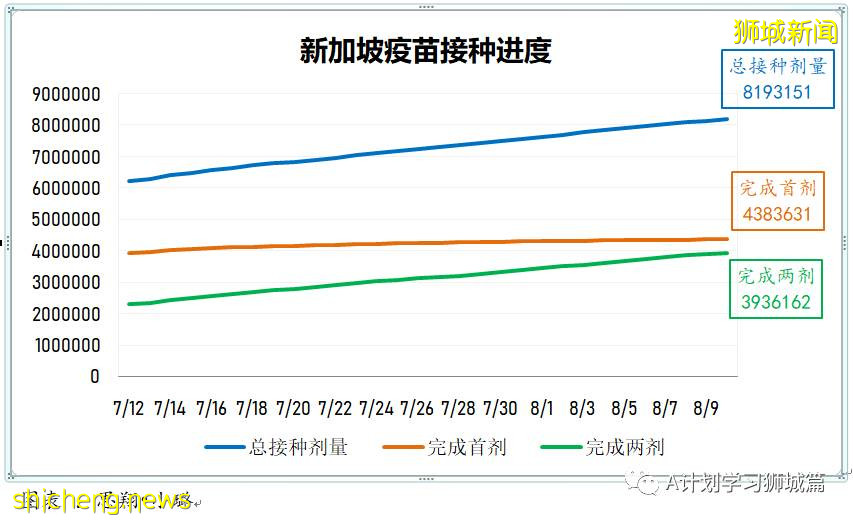 8月12日，新加坡疫情：新增59起，全是本土感染病例；又有三名學生確診冠病