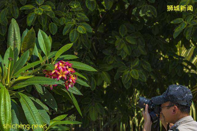 新加坡旅游必去打卡地，圣淘沙公园里都有什么