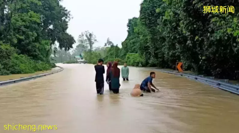 活久見! 新加坡鄰國下起了鵝毛大雪,29年頭一次