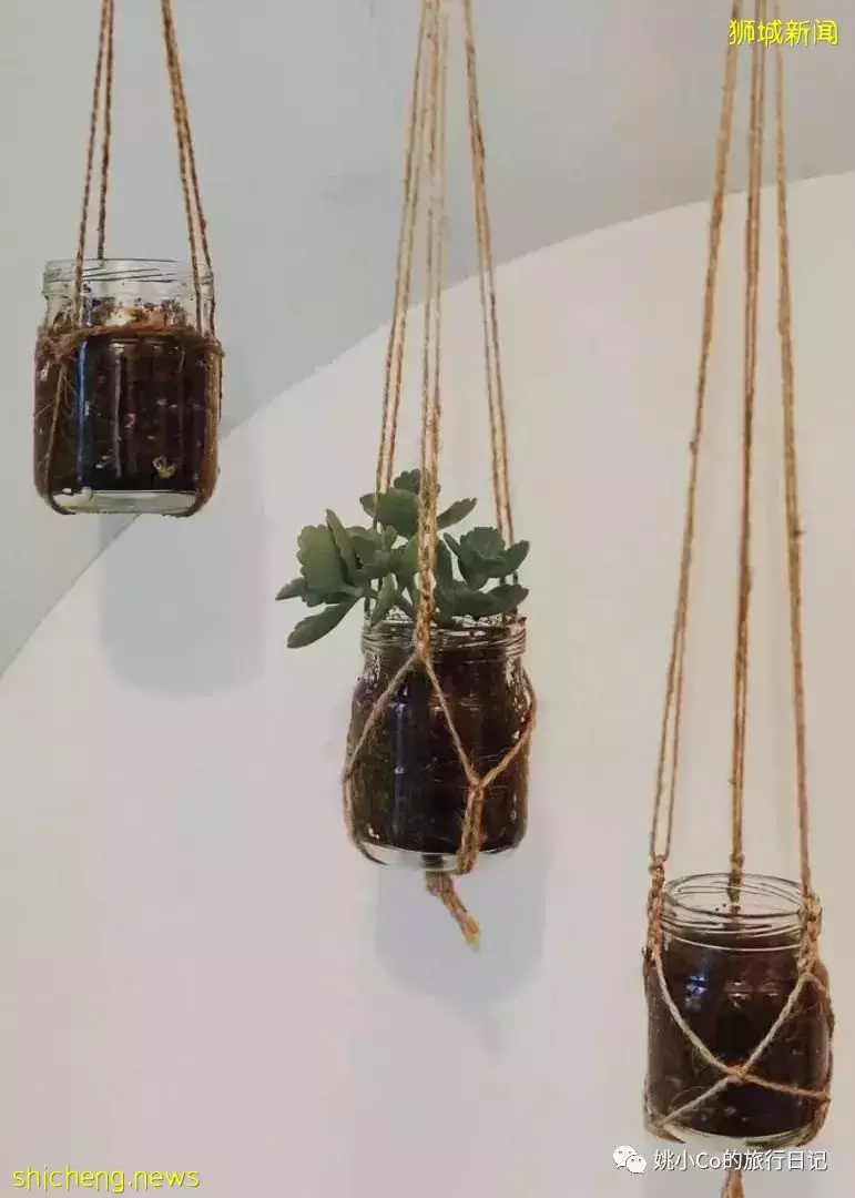 距离上次回国已经568天……在新加坡的你，过得还好吗