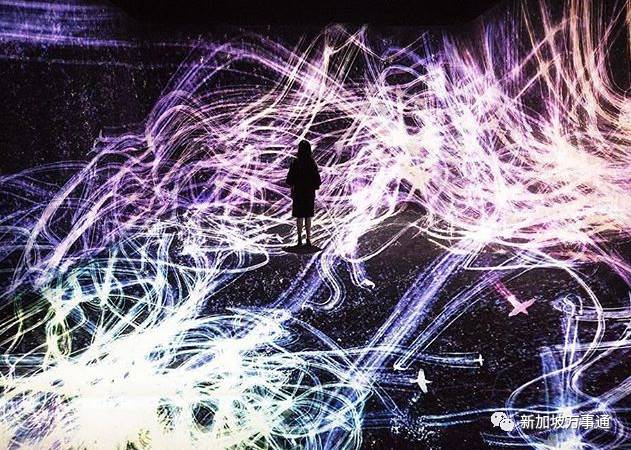 坡岛爆红INS的网红圣地！360°光影覆蓋、绝美星空场景等你来打卡