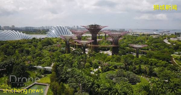 新加坡在悄悄改變!你發現了嗎