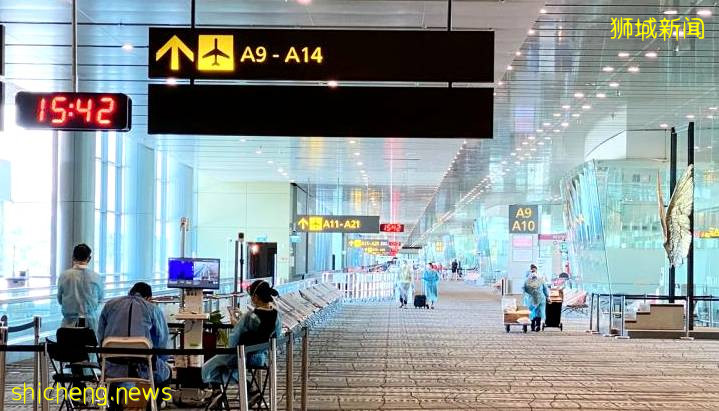 新加坡政府發布最新一季就業報告,疫情下旅遊業遭受重創