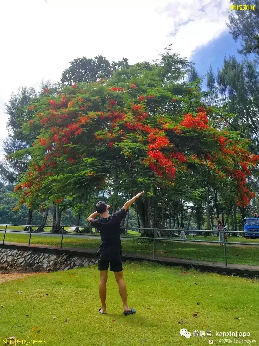 新加坡离岛攻略,半个多小时便能收获美景天堂