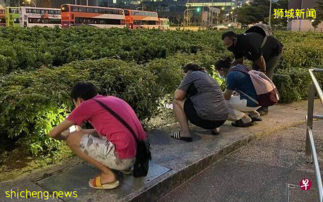 草丛藏千元招人寻宝 是何方土豪在作怪