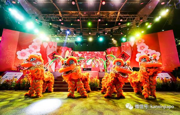 牛牪犇!牛车水变身“农场”,喜迎春节到来