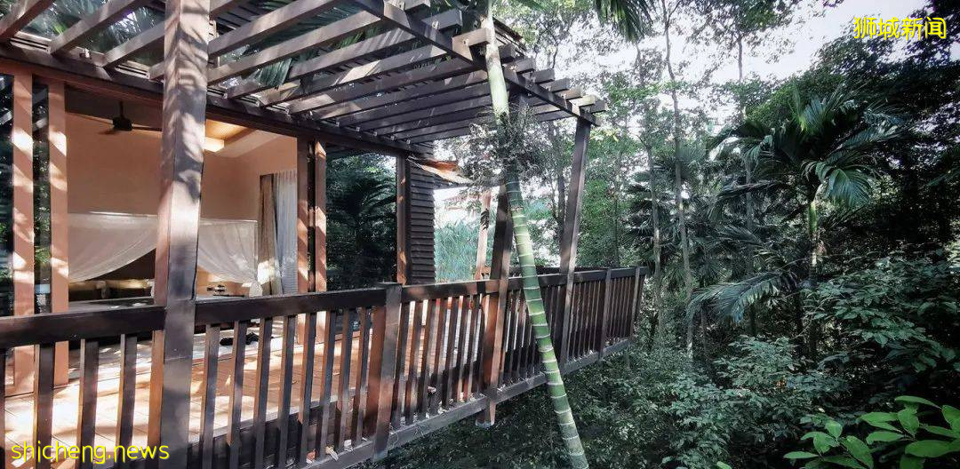 遊獅城 上天入海,多的是你不知道的新奇體驗