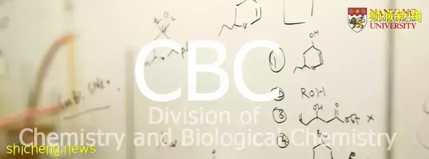 南洋理工大學宣布成立新院系 CCEB