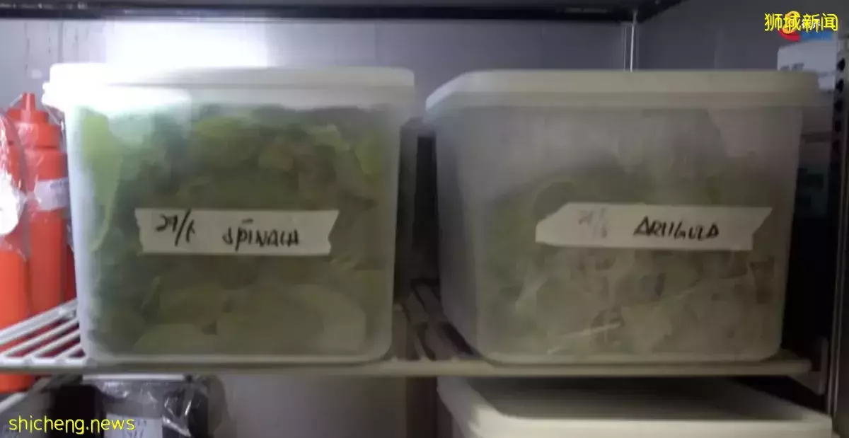 减少食物浪费有助环保 餐饮平台:每月还能省300多元