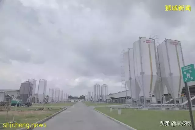 新加坡豪华养鸡场长啥样
