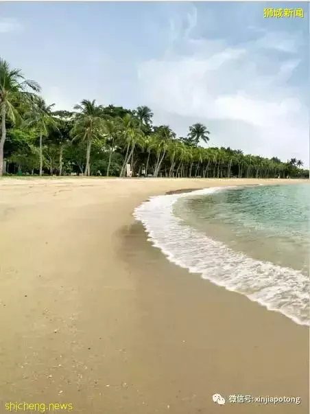 美雅豪苑 東海岸永久地契 海景房 傳統富人區 著名發展商 將來地鐵站