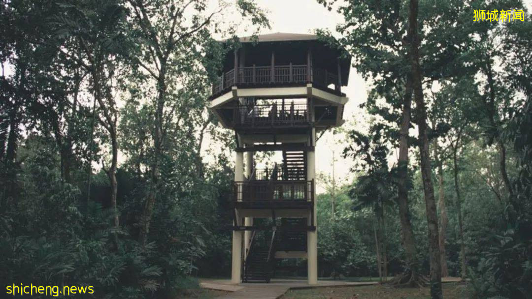 够胆就来!新加坡9个让人心跳加速的夜间约会好地方