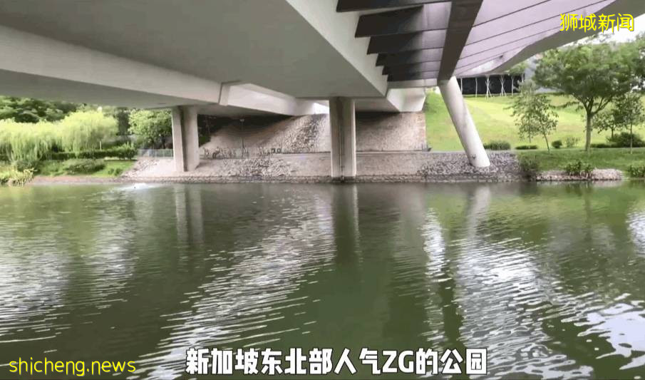 疫情不再宅家!新加坡10个超美户外蓄水池走起~人少风景好