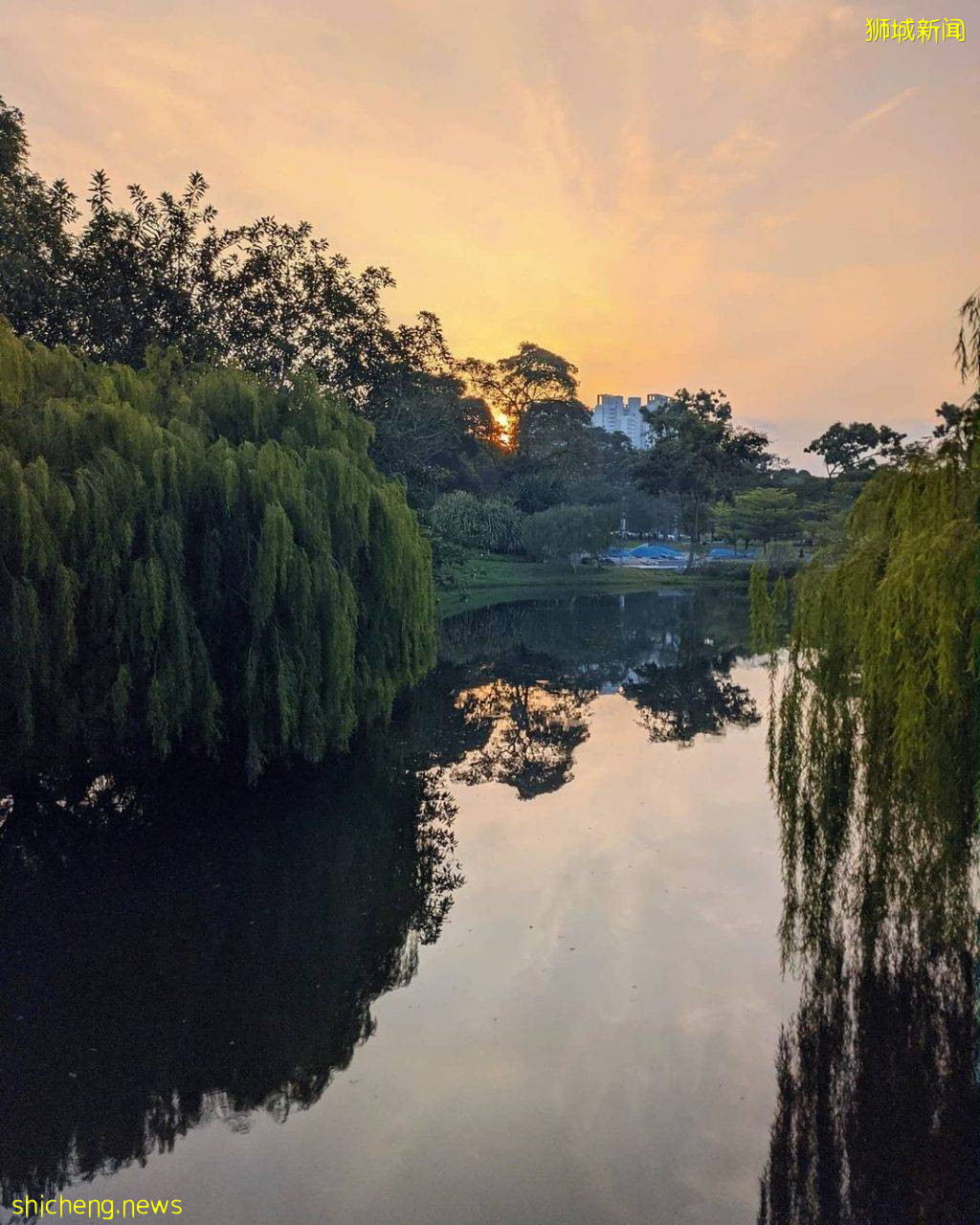 盘点新加坡7大湖泊美景✨静下心感受大自然风景、漂亮程度堪比国外