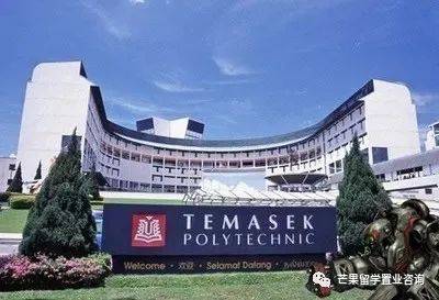 新加坡理工學院，到底是不是“大專”