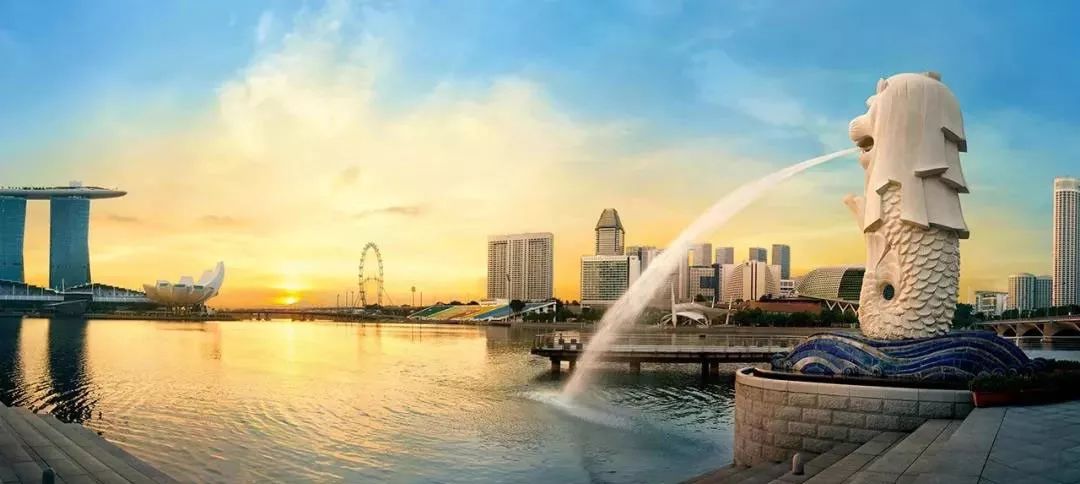 新加坡留学的全龄段解析