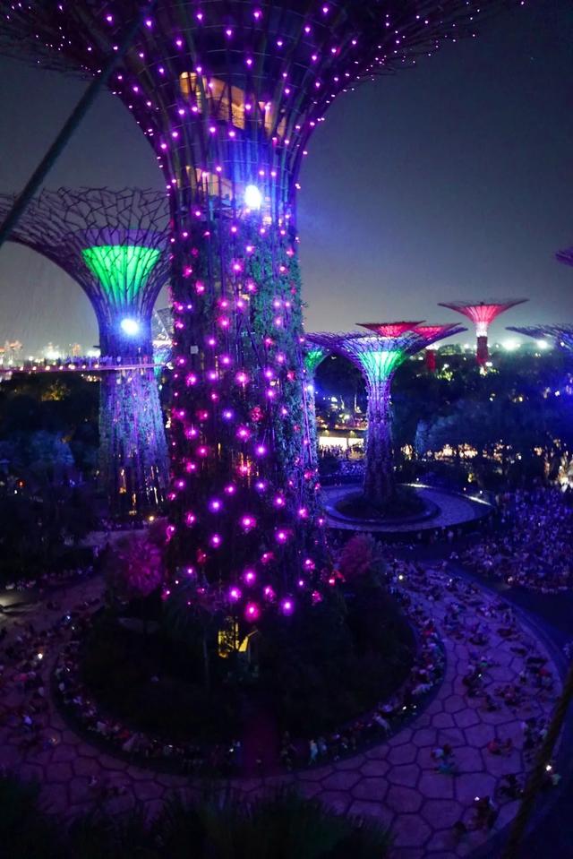 新加坡旅行|6天5晚奇遇狮城的日与夜