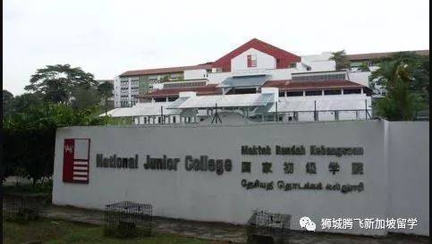新加坡Polytechnic比Junior College差很多