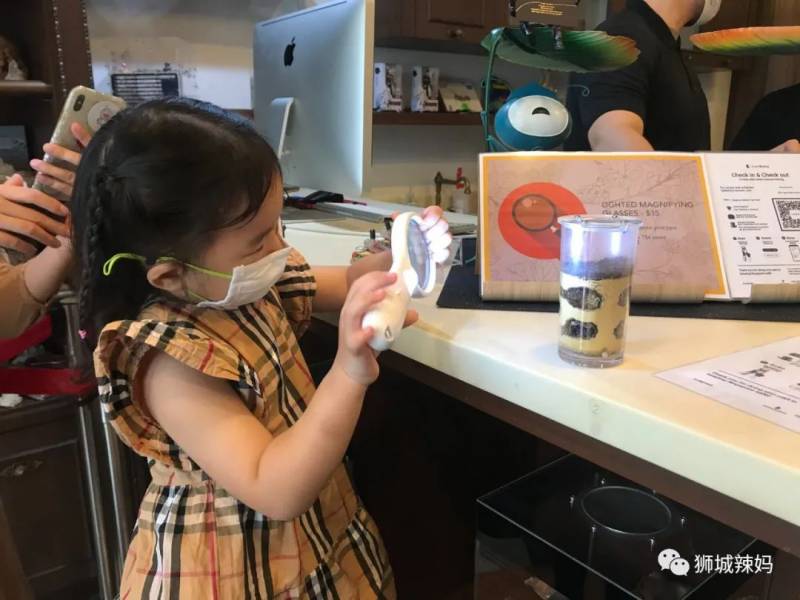 亞洲第一的螞蟻博物館居然在新加坡