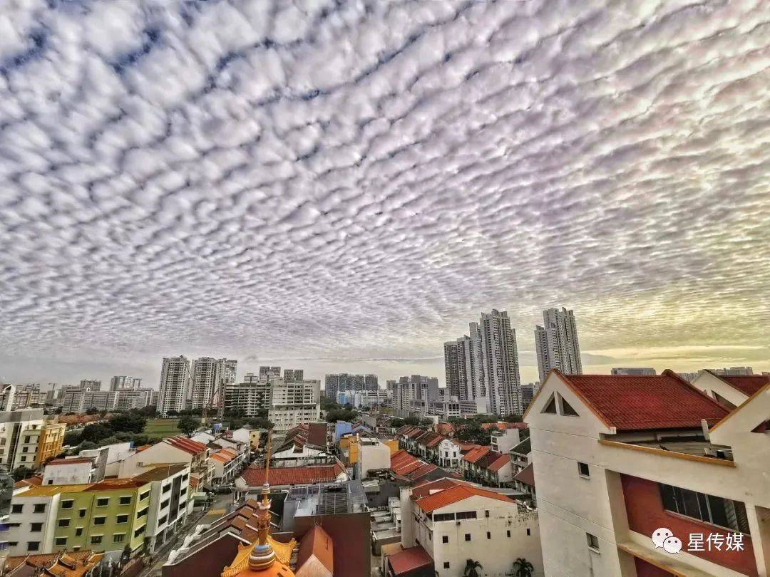 新加坡絕美魚鱗雲刷屏朋友圈，網友：美翻了