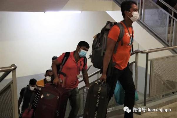 新冠笼罩下新加坡366天的50个瞬间