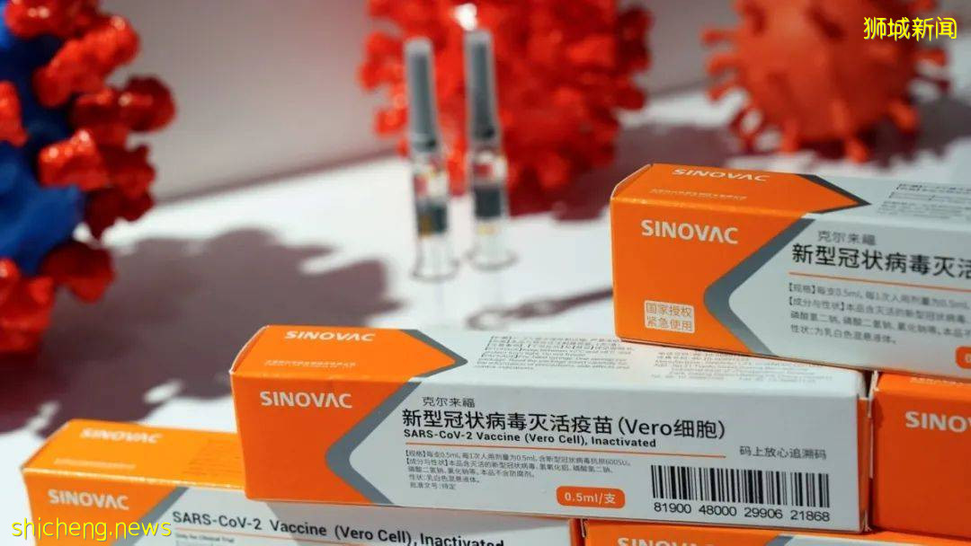 受追捧的中国科兴疫苗,却遭新加坡医学专家嫌弃不如辉瑞有效