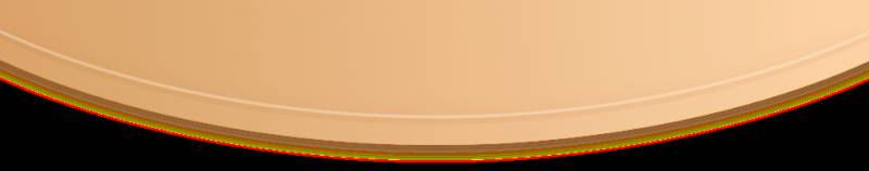 狮城商海 | 肉干大王和他的肉干王国