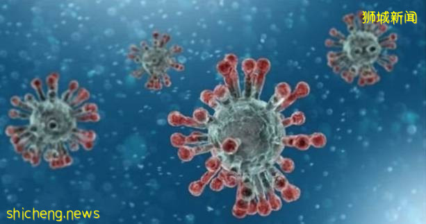 新加坡41歲中國客工新冠病逝後，帶來的警示!