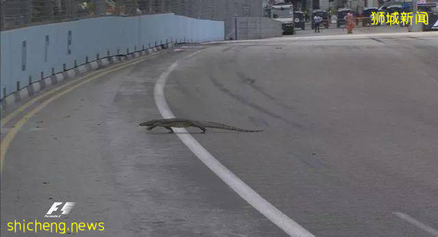 這樣的新加坡真是待不下！去！了